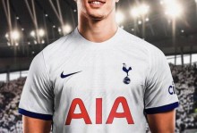 图片报：汉堡保级急需武什科维奇伤愈复出，但决定权在热刺 - 全景赛事 - 体育在线窗