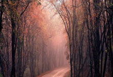 CUBAL-上海工程轻取海南师大 杨皓淇23+8 陈子康17分