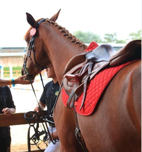 菲尔克鲁格:期待人生首次米兰德比 我是团队型球员攻防都会参与