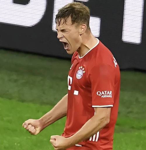 巴拉克谈卡尔:在拜仁立足几乎等于进国家队了,主帅会认真考虑的