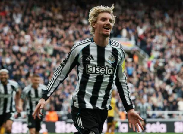 英媒:纽卡有意热刺前锋索兰克,准备出售沃尔特马德