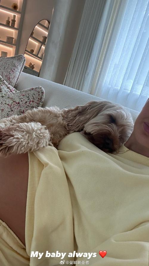 格拉利什社媒晒养伤照片：正努力康复，争取以更出色状态回归