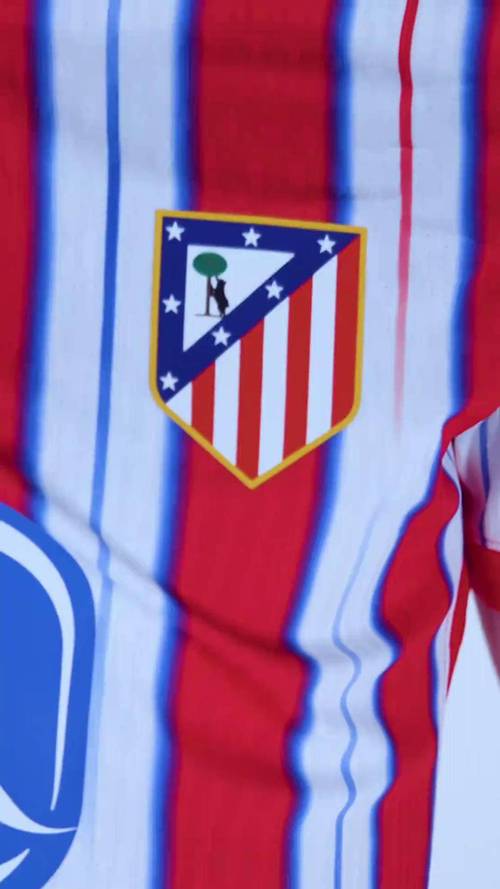 对马竞！世体：超三千名热刺球迷远征马德里 当地安保已严阵以待