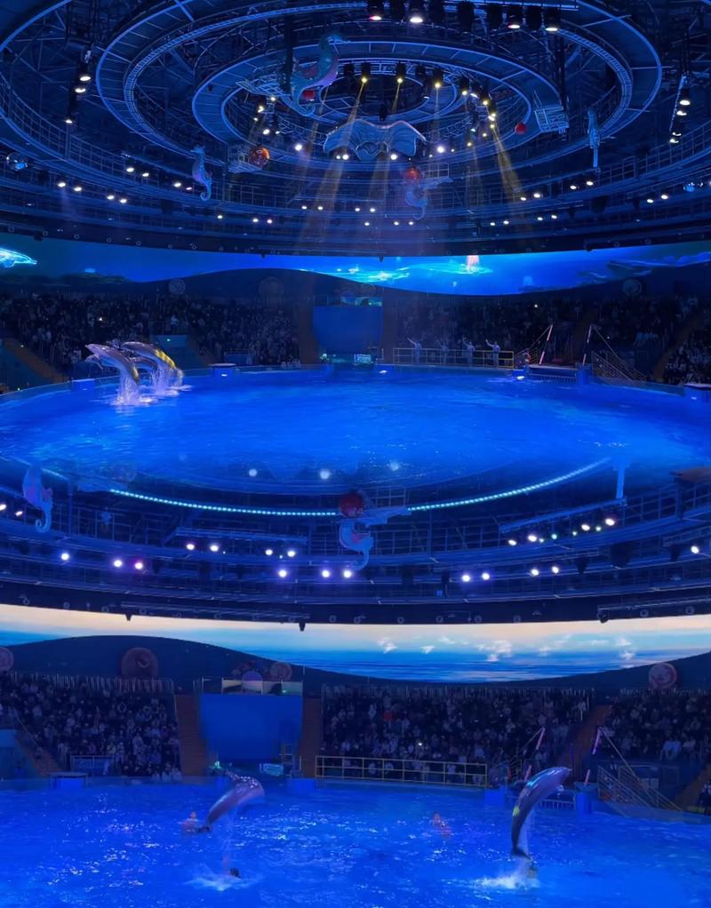 首届LALIGA FC FUTURES全球锦标赛重磅启幕，海港U12亮相顶尖舞台