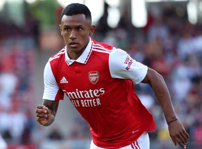 法媒：南特决定换帅，哈利霍季奇回归替代坎塔里