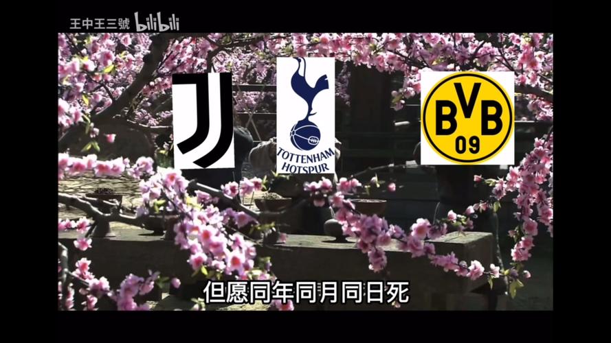 外媒：尤文已与热刺开启接触，就今夏引入乌多吉进行问询