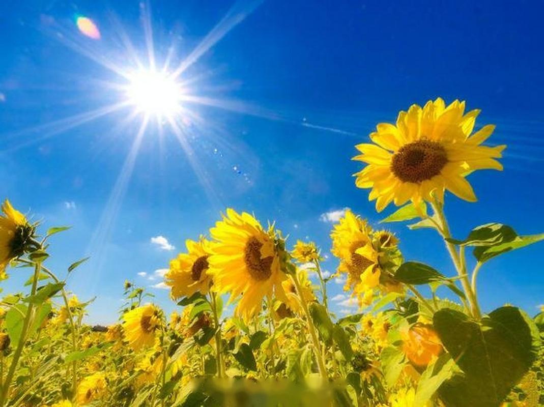 波津：得向教练组致敬 他们给了球员很大自由度&每个人都很自如