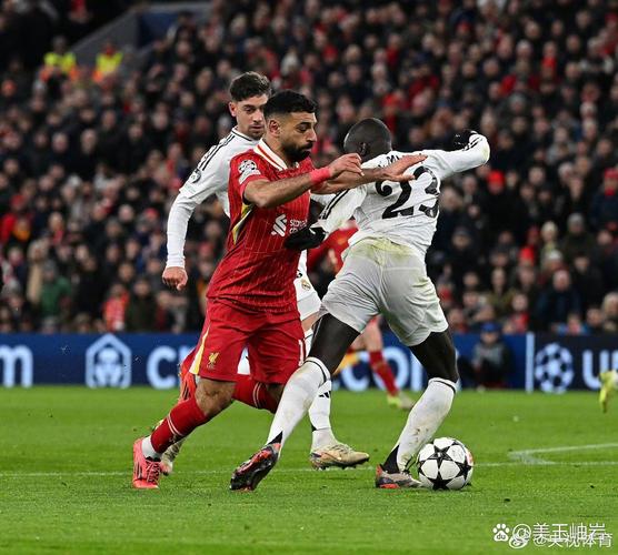 这还咋踢？！热刺本轮战利物浦多达12人伤停，目前仅高降级区1分