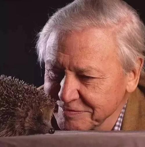 小罗谈个人纪录片：从未想过会被拍成纪录片，我感到非常高兴