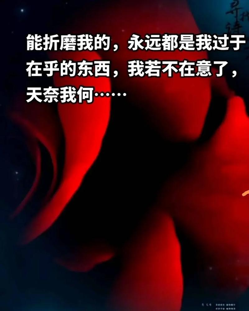 SGA谈连续20+纪录今晚差点中断：除了赢球 其他我都不在乎