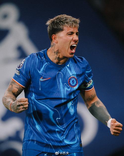 TyC：尚未有球队正式报价恩佐，切尔西需要丰厚报价才会放人