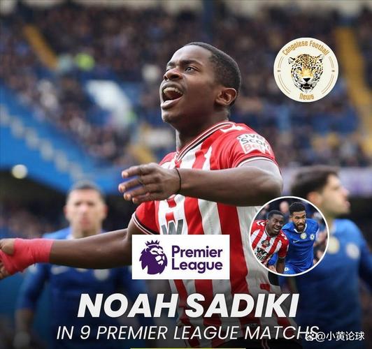 舍伍德：曼联若想夺英超需阵容换血，该签沃顿和埃利奥特·安德森