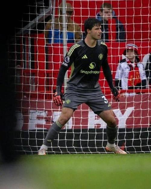 卡里克质问裁判：两个都是拉拽动作，判了1个，第2个为什么不判？