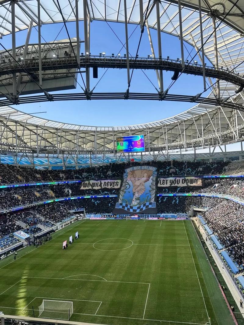 东体：大连英博主场草皮难算“合格”海港三外援不在最佳状态