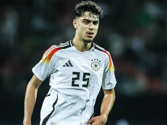 图片报：德国队补招斯蒂勒顶替帕夫洛维奇，前者将争取世界杯资格