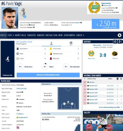 德转更新瓦吉奇转会费，球员100万欧加盟辽宁铁人