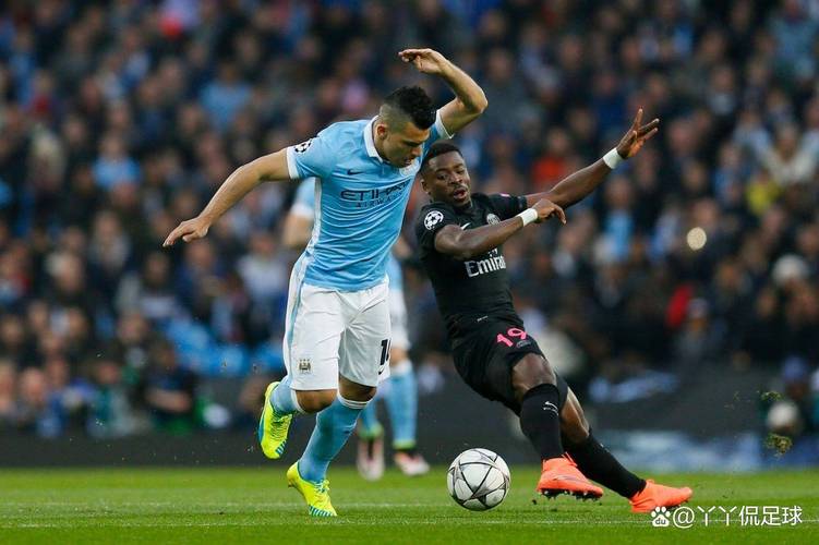 巴黎前市长候选人：王子公园球场估值约2亿欧 改造必须考虑周边