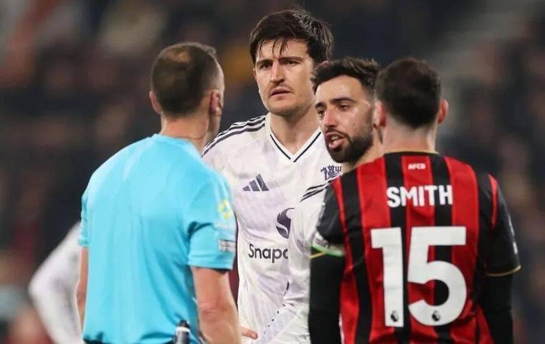 费迪南德：曼联应该买2中场+1前锋+1边后卫，安德森是中场首选