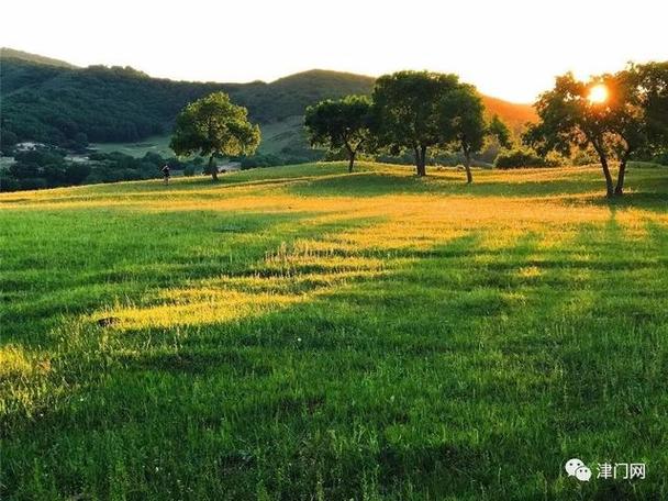 早日康复！勇记：一场令人沮丧的胜利 穆迪的“大回归”计划泡汤