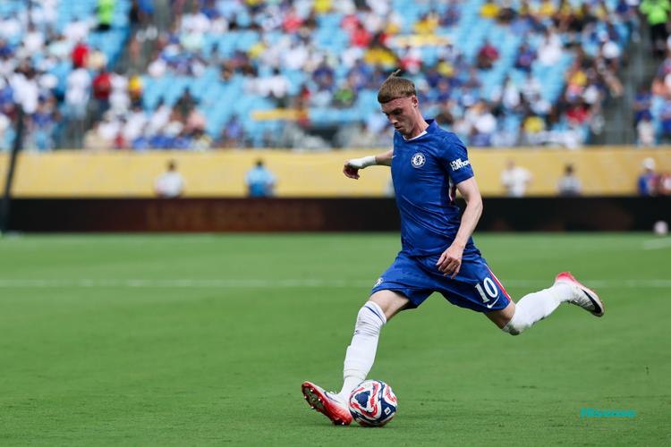 图片报：切尔西有意卡里姆·库利巴利，已经开启相关谈判