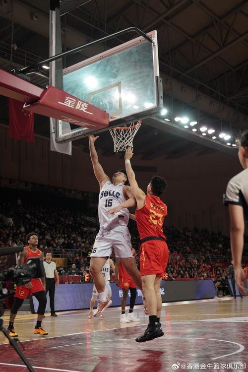 【战报】香港金牛季后赛首战告捷 主场战胜盐南苏科雄狮！