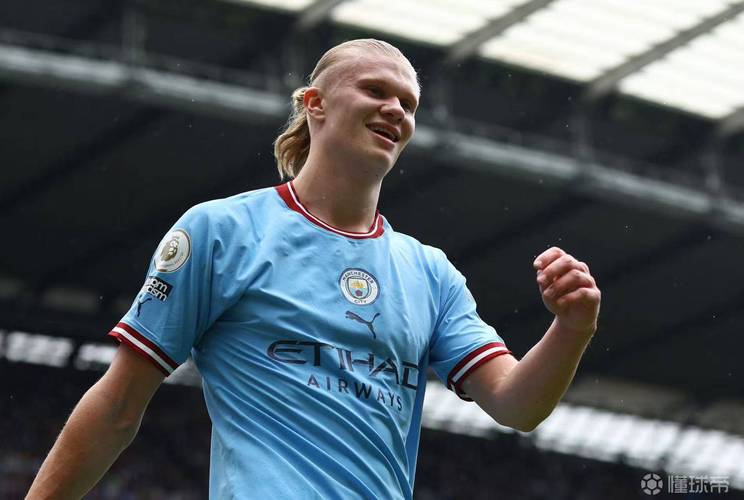 外媒：哈兰德11.5万欧拍下挪威最贵书籍，捐给家乡市镇蒂默