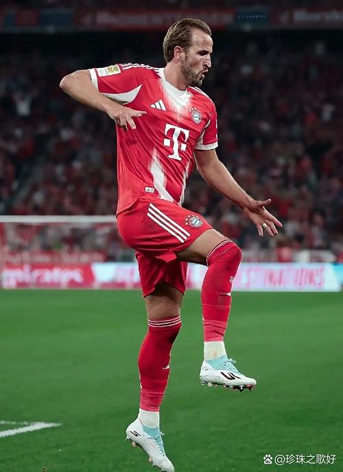 图片报：拜仁计划新建训练场地，安切洛蒂百万欧元项目将被拆除