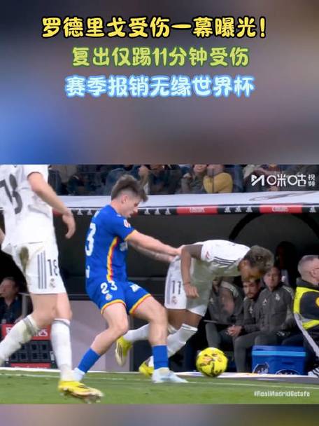 记者：帕尼切利右膝前十字韧带撕裂，本赛季报销+无缘世界杯