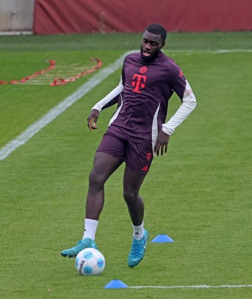 拜仁官方：帕夫洛维奇恢复个人训练，穆西亚拉和阿芳完成有球训练