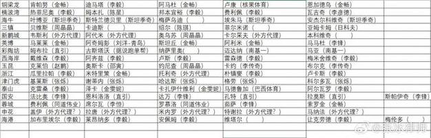 中超外援的代理人都是谁？张冰律师统计2026冬窗中方经纪人