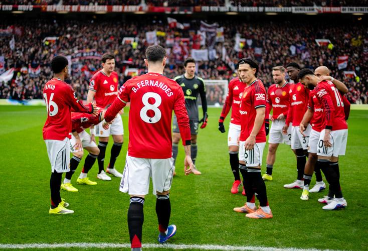 寒王心寒！太阳报：帕尔默不满主力离队+战术调整 愿考虑转会曼联