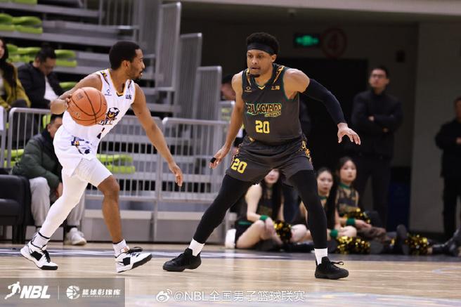 攻防全面开花 山东蜜獾主场战胜上海玄鸟拖入决胜局！