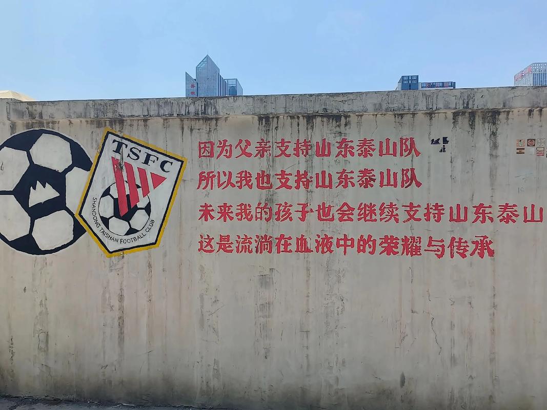 蒙哥马利：输给山东泰山队其实很可惜，我们有一个点球没有获得