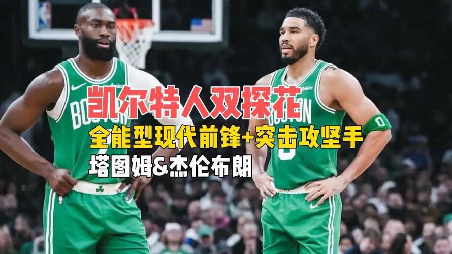 绿军客战黄蜂 怀特&杰伦·布朗缺阵 塔图姆&奎塔可以出战