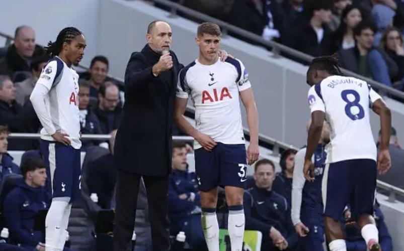 热刺球迷信托谈图多尔下课：希望剩余时间里，俱乐部能做明智选择