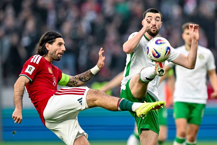 加图索：超千万人看了对阵北爱尔兰的比赛，应给意大利人带来快乐