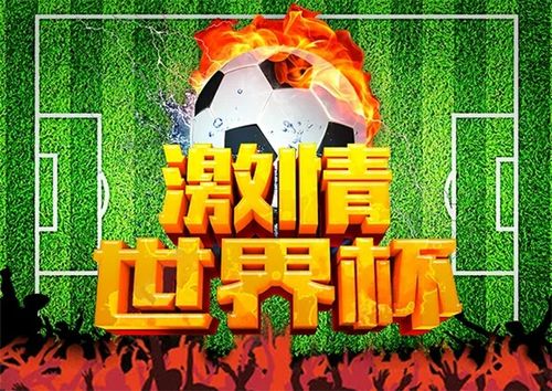 TA：欧足联冻结2028欧洲杯大部分票价，与世界杯票价对比鲜明