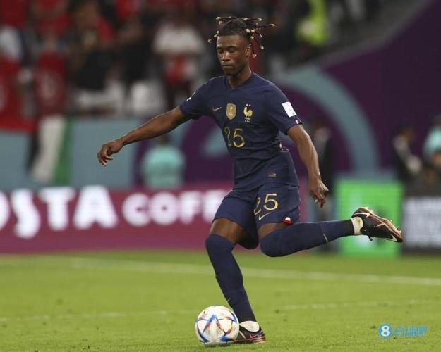 队报分析：法国29人终选将剔除3-4人，卡马文加在竞争中处于下风