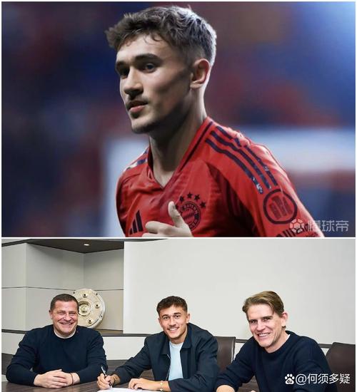 图片报：为下赛季寻找二号门将，拜仁有意汉堡33岁老将费尔南德斯