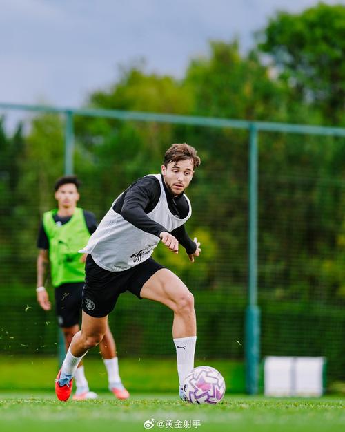 图片报：穆西亚拉、阿方索·戴维斯和帕夫洛维奇都增加了训练强度