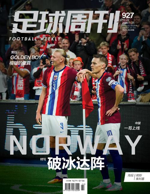 连续三届无缘世界杯：该拿什么来拯救你，我心爱的蓝衣军团