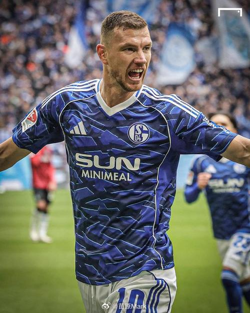 沙尔克官方：哲科归队后将接受肩部伤情诊断，并将缺阵周日联赛