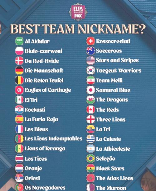 太卷了！欧洲区世界第12意大利第20丹麦+第32/35……均无缘世界杯