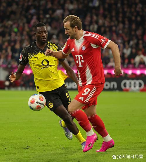 德天空:凯恩预计不会出战弗赖堡,目标战皇马的首回合欧冠复出