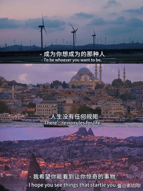 阿隆·维金斯：亚历山大总能在关键时刻站出来 这已成为他的本能