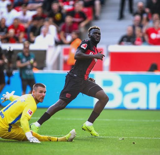 图片报：博尼法斯伤愈回归不莱梅训练，但他的体重严重超标