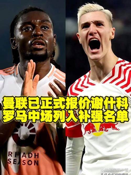 图片报:莱比锡不会1000万欧买断内德伊科维奇,球员预计今夏离开
