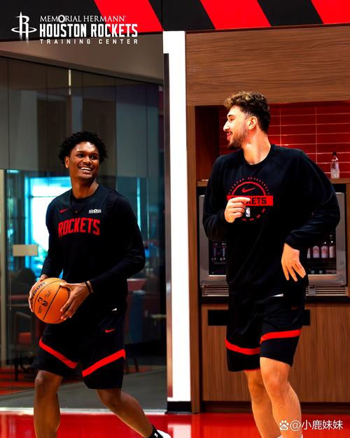 还来啊!四川注册新外援凯尔·维纳莱斯 后者曾效力于NBL贵州猛龙