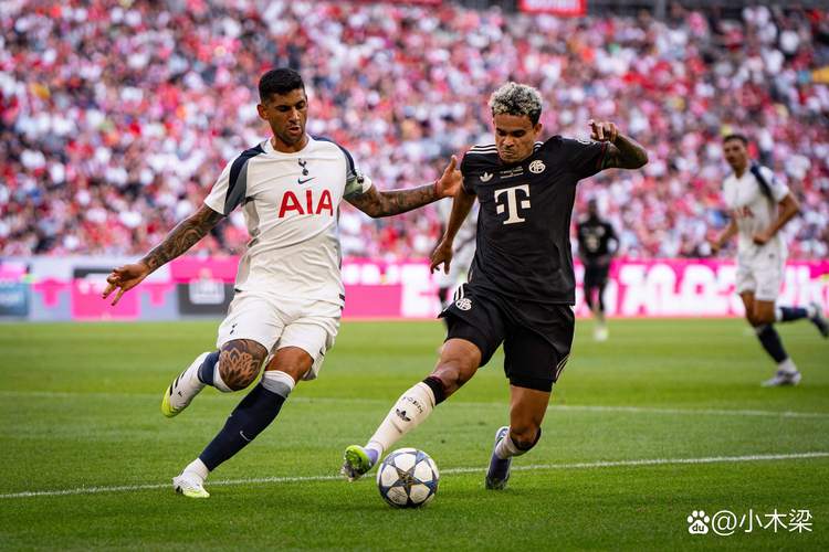 图片报：凯恩有望在对阵皇马首回合比赛中复出