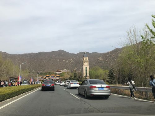 穿针引线!卡多17中5拿13分5板10助4断 也有6失误